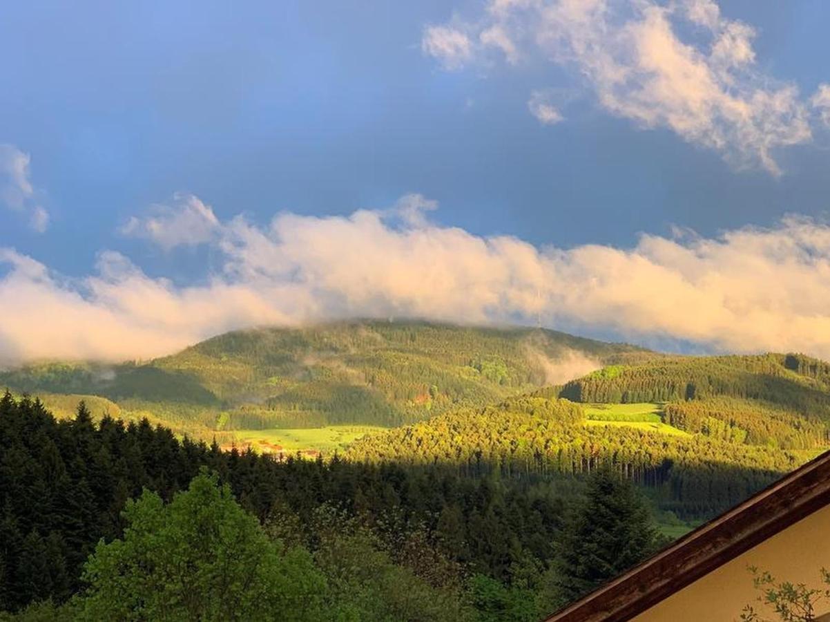 Black Forest Appartement - Brandenkopfblick Zell am Harmersbach Εξωτερικό φωτογραφία